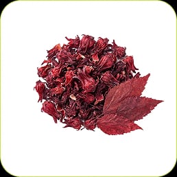 Hibisco
